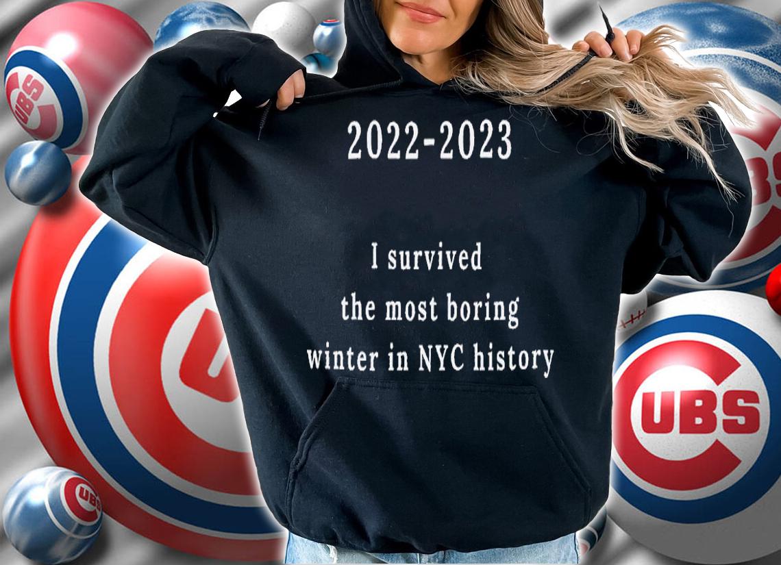 2022 2023 I survived the most boring winter in NYC history shirt t-shirt hoodie