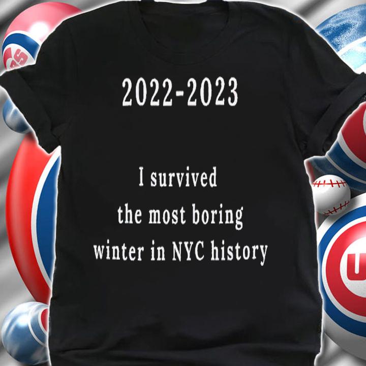 2022 2023 I survived the most boring winter in NYC history shirt t-shirt shirt