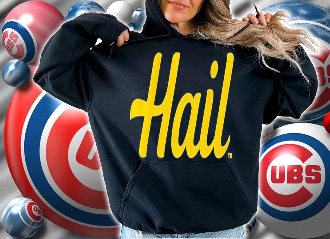 Michigan Hail Shirt t-shirt hoodie