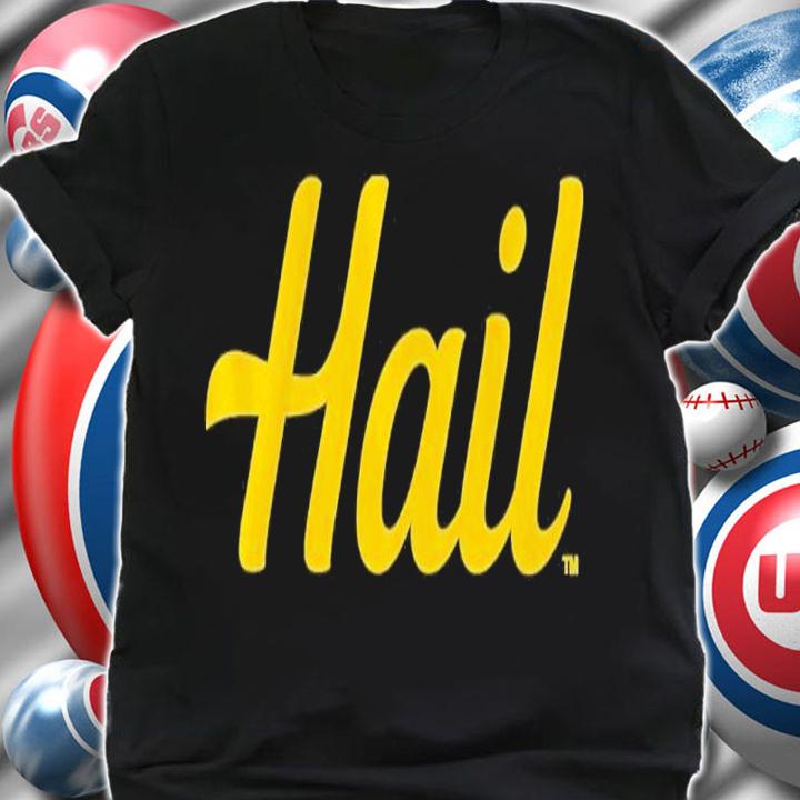 Michigan Hail Shirt t-shirt shirt