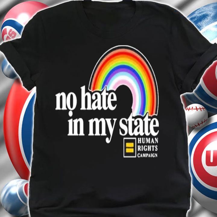 No Hate In My State Rainbow Shirt t-shirt shirt