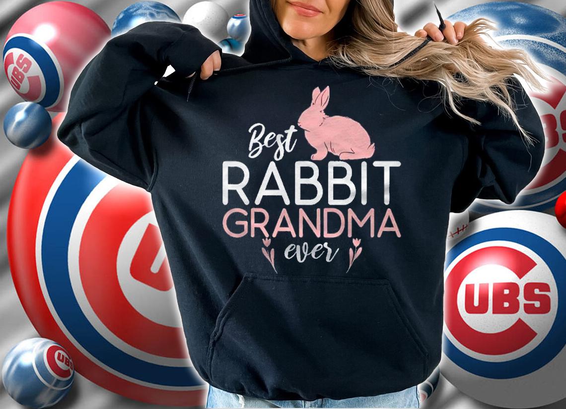 Best Rabbit Grandma Ever Cute Rabbit Lover Shirt t-shirt hoodie