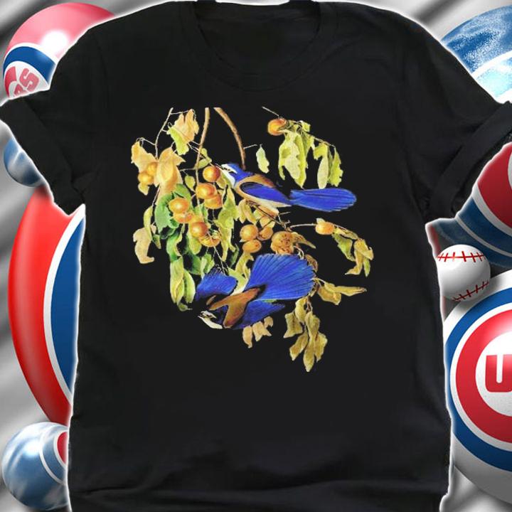 Florida Jay Audubon Bird Lover Shirt t-shirt shirt