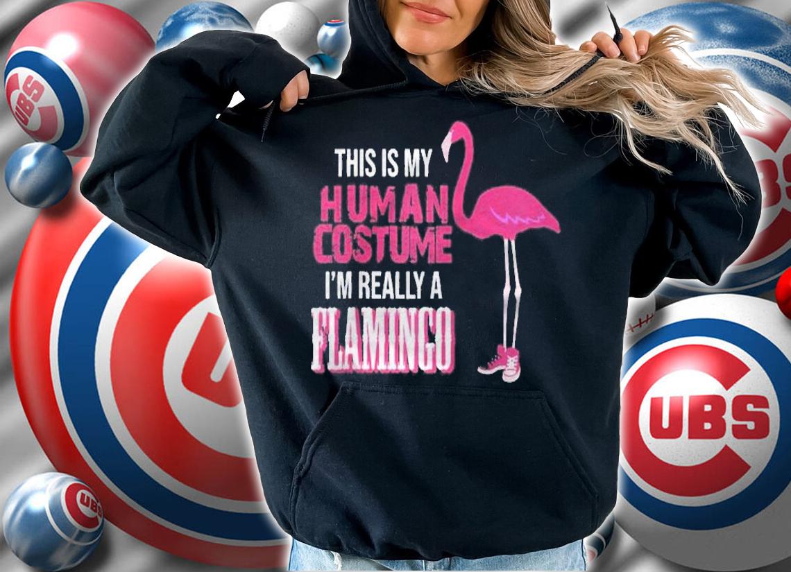 This Is My Human Costume I Am Really A Flamingo Tshirt Raglan Baseball Shirt