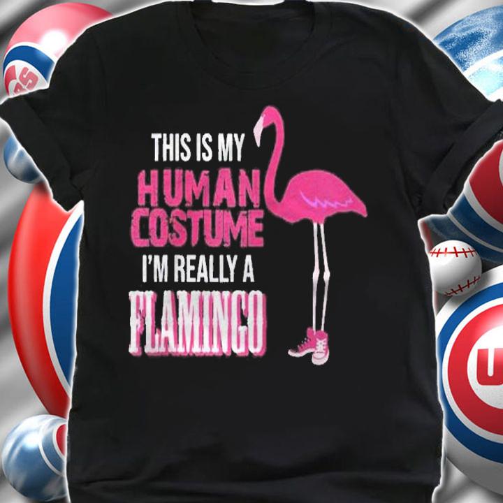 This Is My Human Costume I Am Really A Flamingo Tshirt Raglan Baseball Shirt