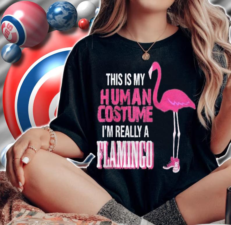 This Is My Human Costume I Am Really A Flamingo Tshirt Raglan Baseball Shirt