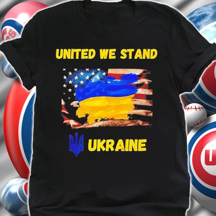 United We Stand American Friendship Flag Roots T-Shirt shirt